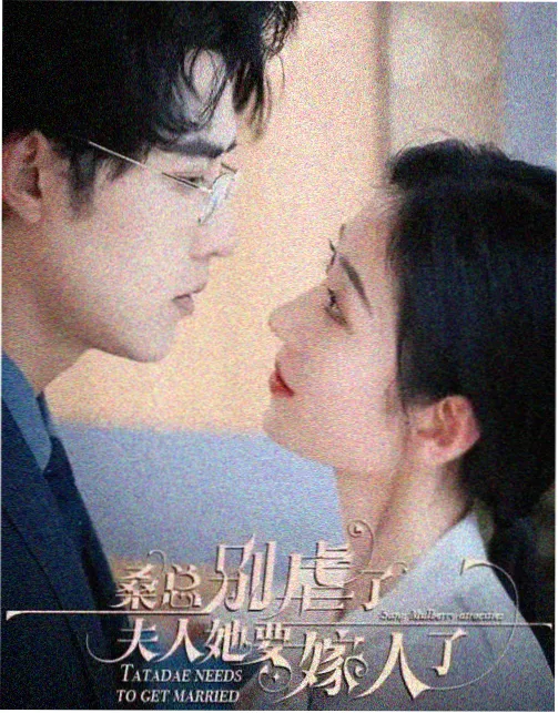 影视动态
